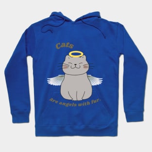 Cats are Angel with fur Hoodie